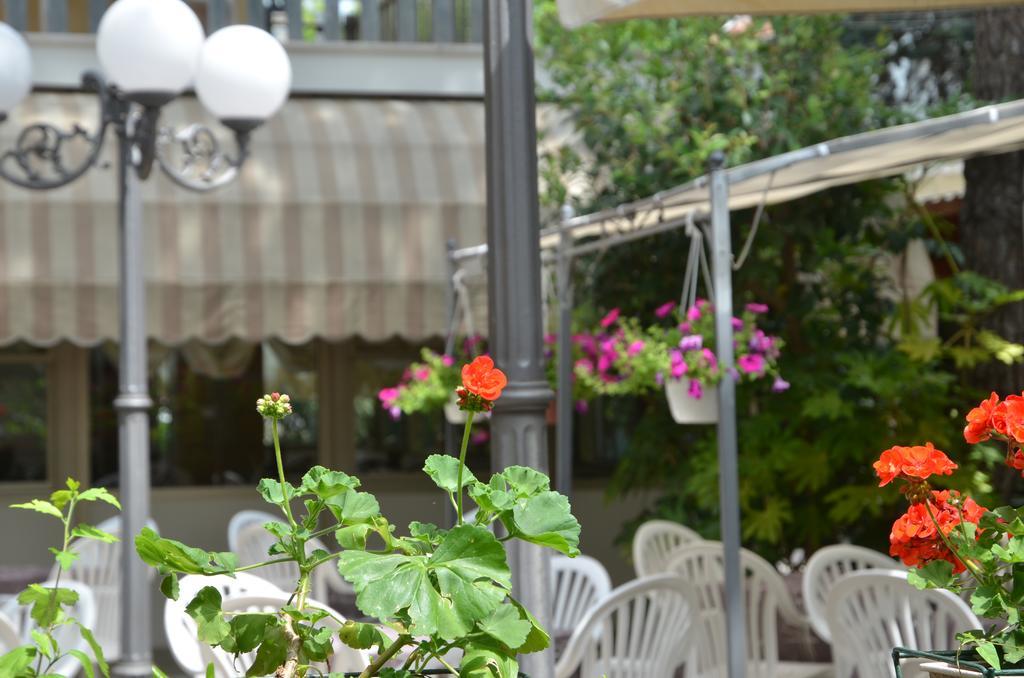 Hotel Monique Cervia Zewnętrze zdjęcie