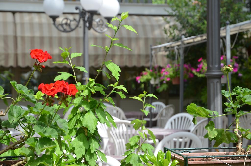 Hotel Monique Cervia Zewnętrze zdjęcie